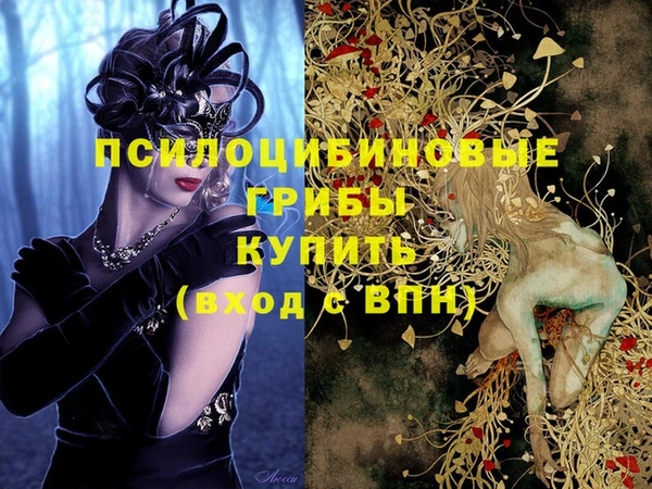 гидра Балахна