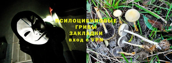 гидра Балахна